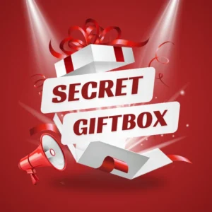 Secret Gift Box